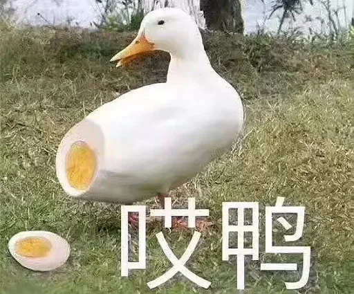 🌚 Стикер «yishanyishanliangjingjing» для Telegram