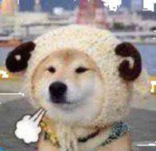 🐕 Стикер «yishanyishanliangjingjing» для Telegram