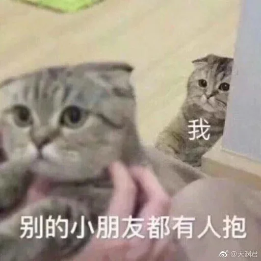 🐈 Стикер «yishanyishanliangjingjing» для Telegram