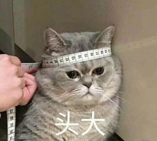 🐈 Стикер «yishanyishanliangjingjing» для Telegram