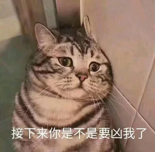 🐈 Стикер «yishanyishanliangjingjing» для Telegram