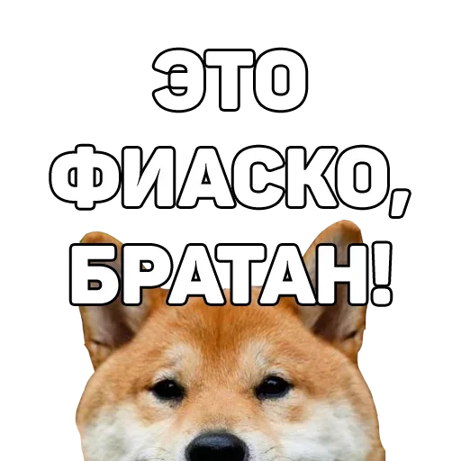 🙃 Стикер «134 ук рф» для Telegram