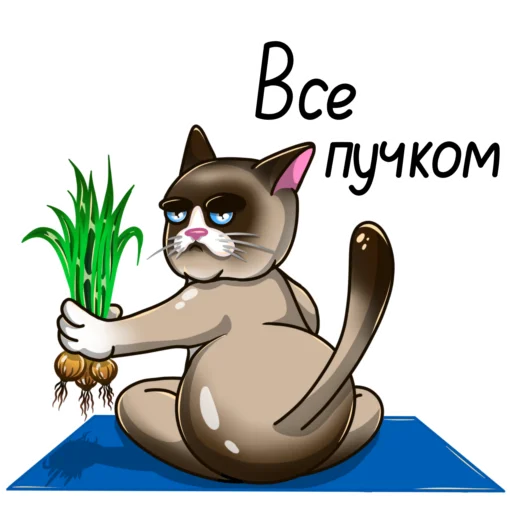 😬 Стикер «ЙогоКотики» для Telegram