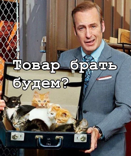 🐈 Стикер «Ввт» для Telegram