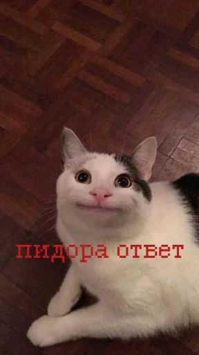 😇 Стикер «иди нахер» для Telegram