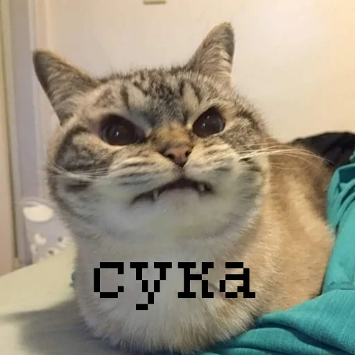 😡 Стикер «иди нахер» для Telegram
