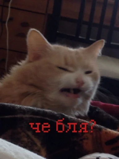 🤨 Стикер «иди нахер» для Telegram
