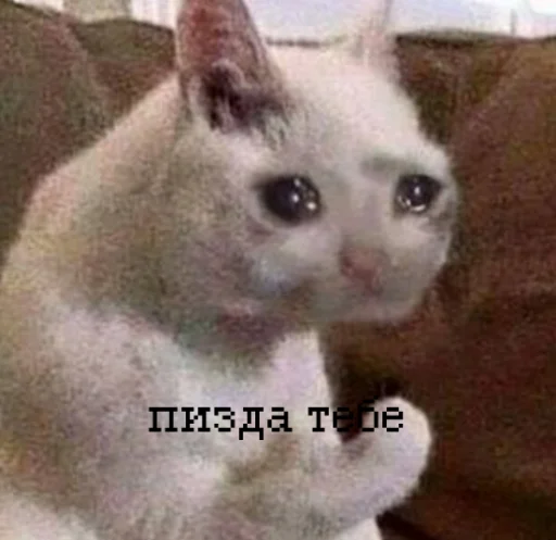 😡 Стикер «иди нахер» для Telegram