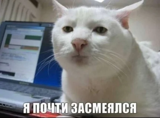 🤭 Стикер «иди нахер» для Telegram