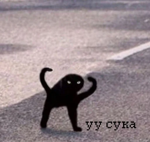 😾 Стикер «иди нахер» для Telegram