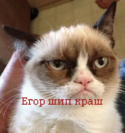 😋 Стикер «иди нахер» для Telegram