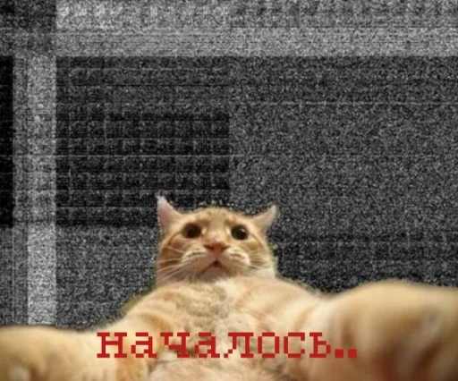 🥱 Стикер «иди нахер» для Telegram