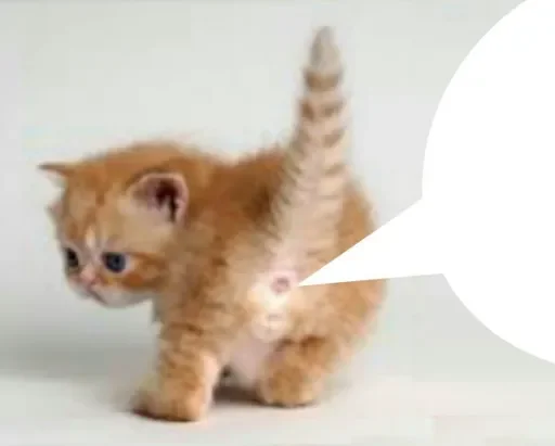 😜 Стикер «стикерная каша» для Telegram