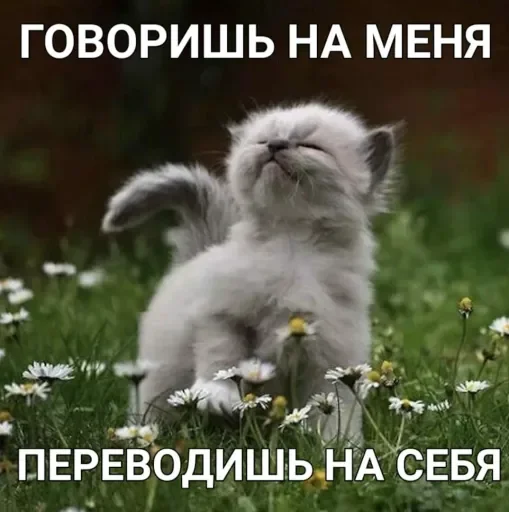 ☀ Стикер «стикерная каша» для Telegram