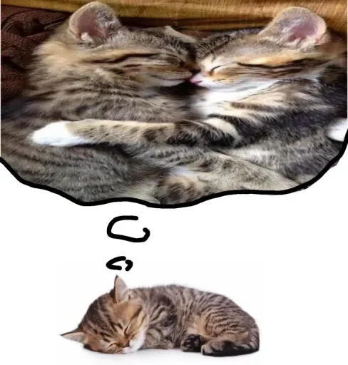 🐈 Стикер «стикерная каша» для Telegram