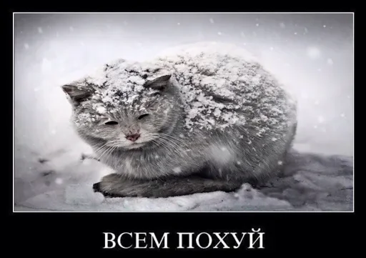 😔 Стикер «стикерная каша» для Telegram