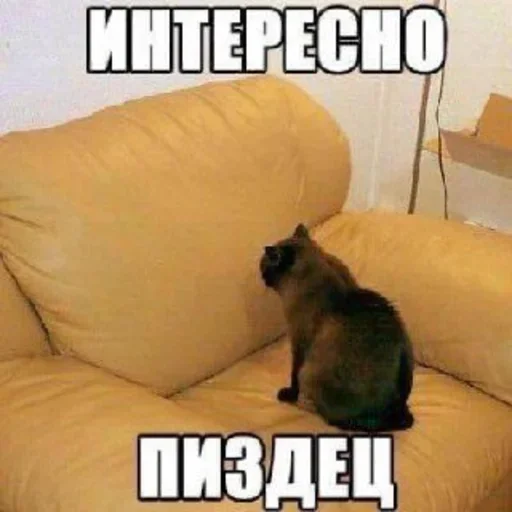 Стикерпак стикерная каша для Telegram