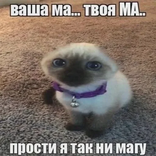 😓 Стикер «стикерная каша» для Telegram