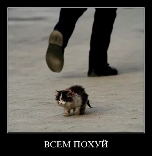 😔 Стикер «стикерная каша» для Telegram