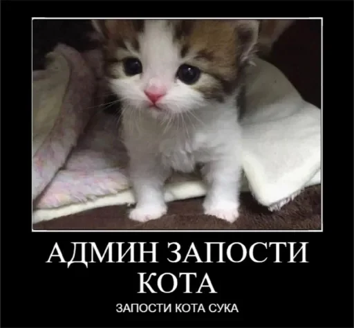 🐈‍⬛ Стикер «стикерная каша» для Telegram