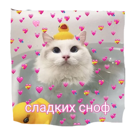 🍷 Стикер «💤» для Telegram