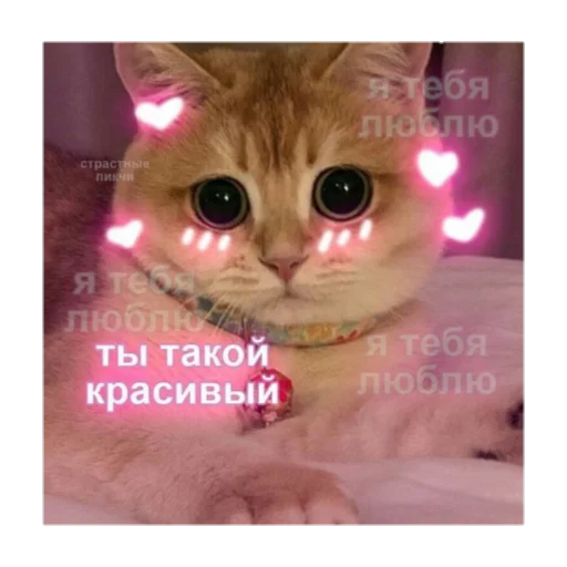 😏 Стикер «💤» для Telegram