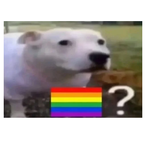 🏳️‍🌈 Стикер «You Are Gay» для Telegram