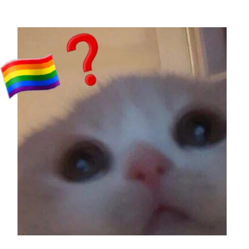 🏳️‍🌈 Стикер «You Are Gay» для Telegram