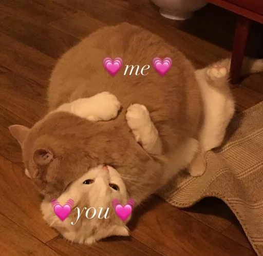 ❤️ Стикер «you nOw(?) yusi» для Telegram