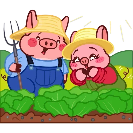🥬 Стикер «Твой Свин Валера» для Telegram