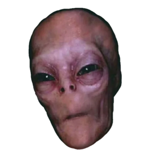 👽 Стикер «Кумиры молодёжи» для Telegram