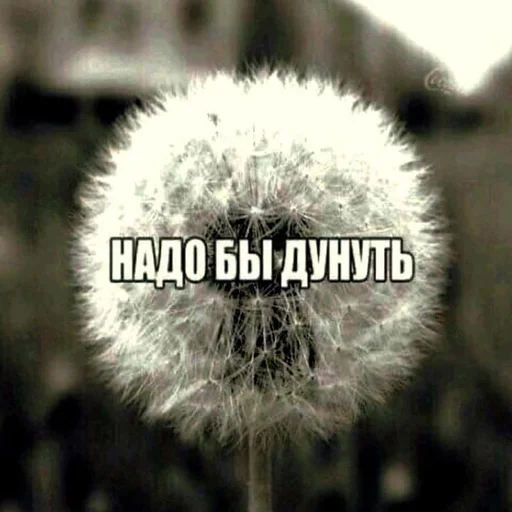 😗 Стикер «антонио мошонка» для Telegram