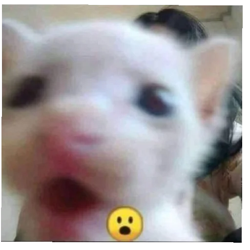 😄 Стикер «юбочка чулочки я чвк фембойчик)))» для Telegram