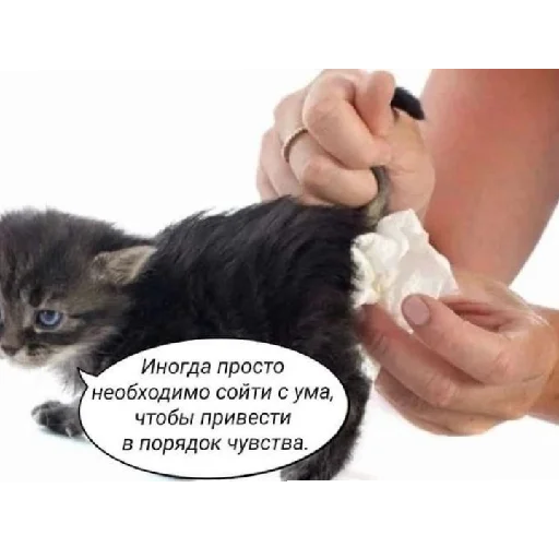 😄 Стикер «юбочка чулочки я чвк фембойчик)))» для Telegram