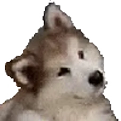 🐶 Эмодзи «Curated» для Telegram