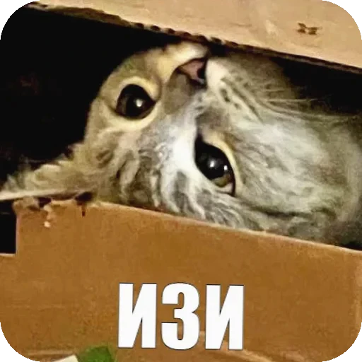😁 Стикер «Yuki» для Telegram