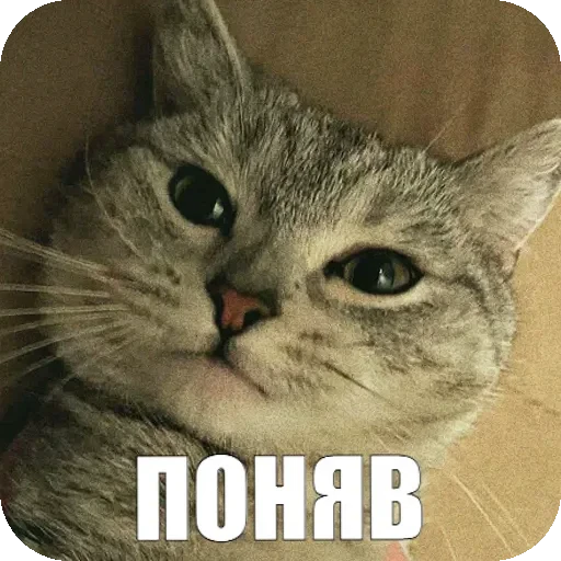 👌 Стикер «Yuki» для Telegram