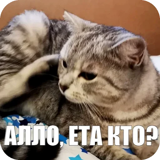 📞 Стикер «Yuki» для Telegram
