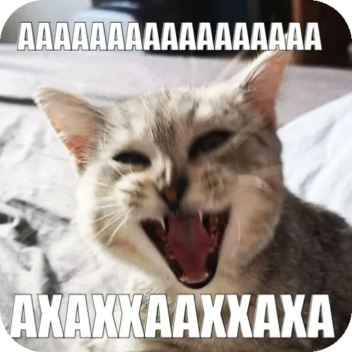 😆 Стикер «Yuki» для Telegram