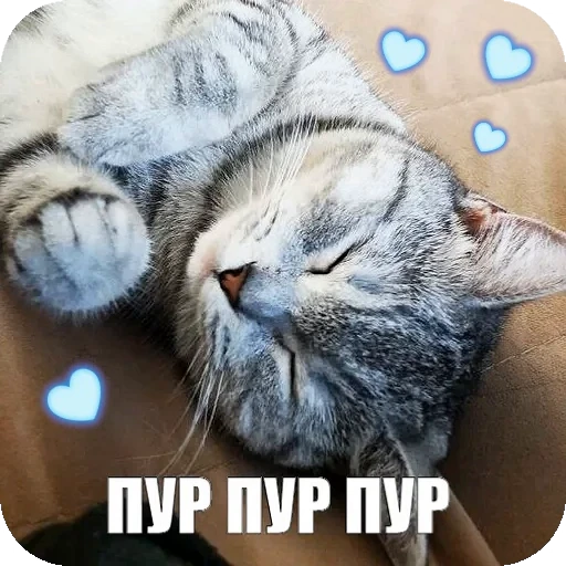 🥰 Стикер «Yuki» для Telegram