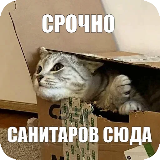 ⛑ Стикер «Yuki» для Telegram