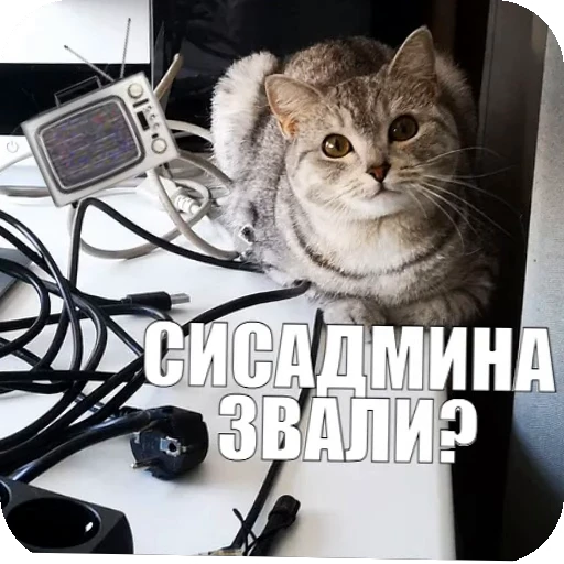💾 Стикер «Yuki» для Telegram