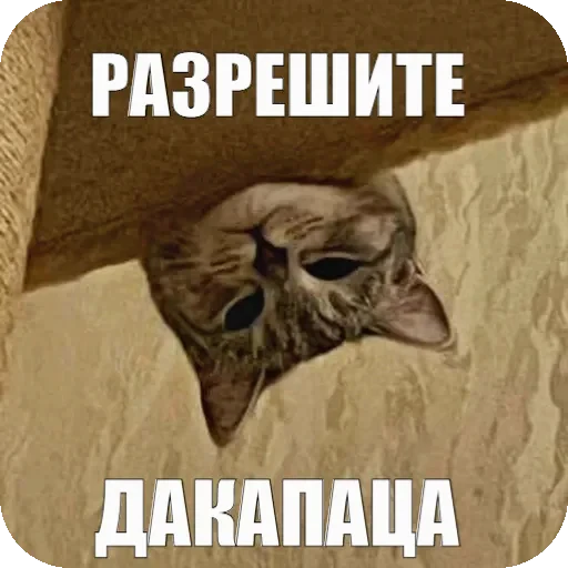 🤓 Стикер «Yuki» для Telegram