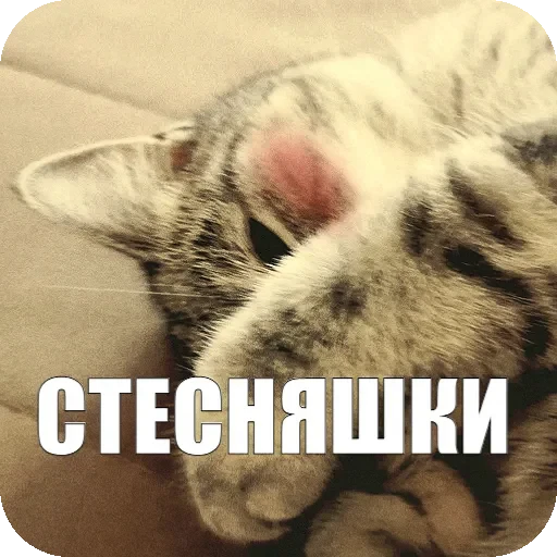 😅 Стикер «Yuki» для Telegram