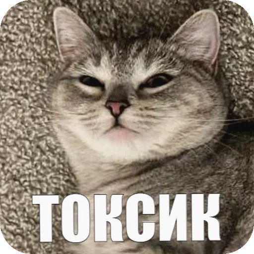 🦠 Стикер «Yuki» для Telegram