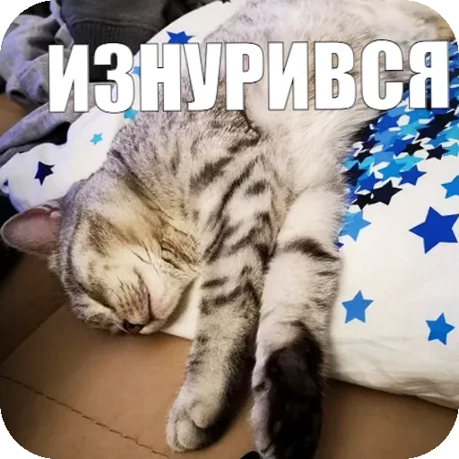😩 Стикер «Yuki» для Telegram