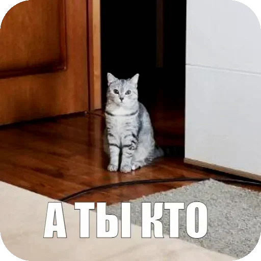 😛 Стикер «Yuki» для Telegram