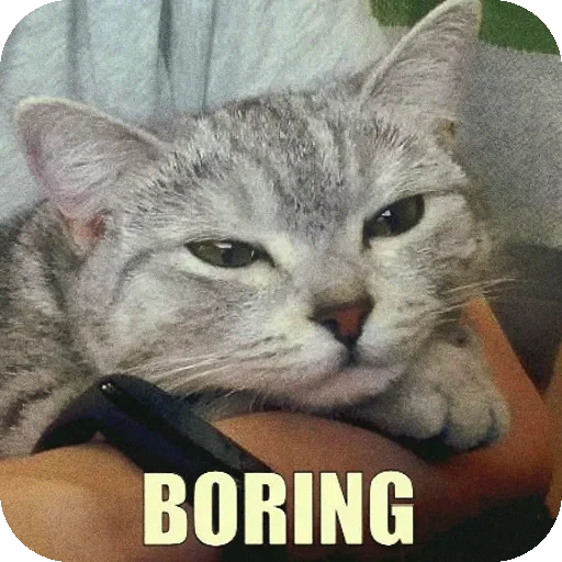 🥱 Стикер «Yuki» для Telegram