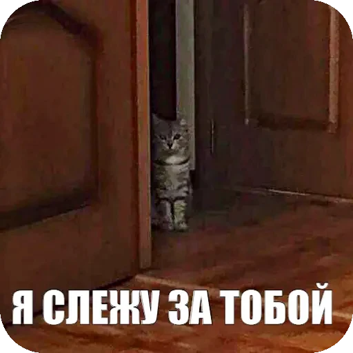 👁 Стикер «Yuki» для Telegram