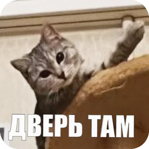 👉 Стикер «Yuki» для Telegram